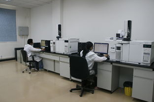 華科檢測技術服務積極捐資支持新中學建設，助力信息技術咨詢服務發展